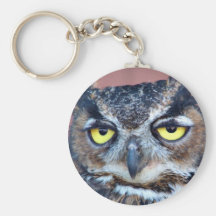 Owl Eyes Key Chains