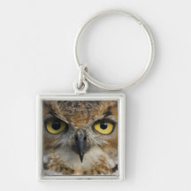 Owl Eyes Keychains
