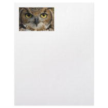 Owl Eyes Personalized Letterhead