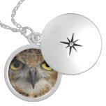 Owl Eyes Lockets