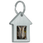 Owl Eyes Pet ID Tags