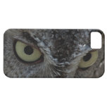 Owl Eyes photo iPhone 5 case