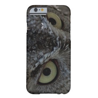 Owl Eyes photo iPhone 6 case