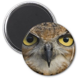 Owl Eyes Refrigerator Magnet