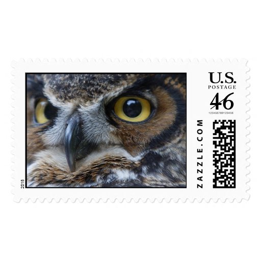 Owl Eyes Stamp