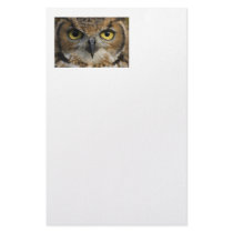 Owl Eyes Customized Stationery