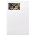 Owl Eyes Customized Stationery