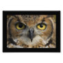 Owl Eyes with black border Photographic Print