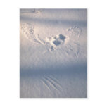 Owl feather imprint in the snow postcard