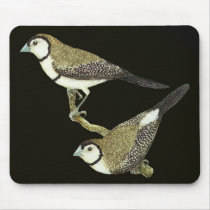 Owl Finch (both forms) - Taeniopygia bichenovii mousepads by LisasLair Owl Finch (both forms) - Taeniopygia bichenovii mousepads