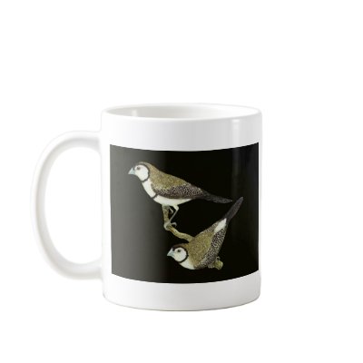 Owl Finch (both forms) - Taeniopygia bichenovii Mugs by LisasLair