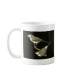 Owl Finch (both forms) - Taeniopygia bichenovii Mugs