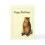Owl Frame, Happy Birthday! Greeting Card