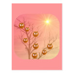 Owl Greeting Cards Postcard