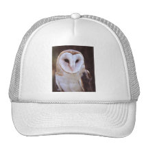 owl hat