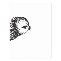 owl head in flight postcards