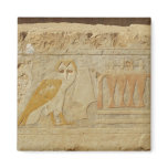 Owl Hieroglyph Detail, Hatshepsut Temple, Egypt magnets