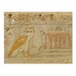 Owl Hieroglyph Detail, Hatshepsut Temple, Egypt Postcards