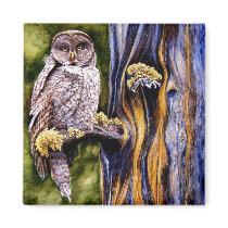 Owl Hoo's Look'n Magnet