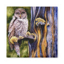 Owl Hoo's Look'n Magnet by artbyjolyn Owl Hoo's Look'n Magnet
