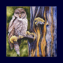 Owl Hoo's Look'n Magnet