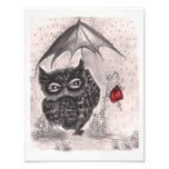 Owl in a Rainstorm - Photo Enlargement photography