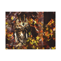 Owl in Autumn Canvas Print