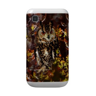 Owl in Autumn
