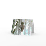Owl In The Snow Cards
