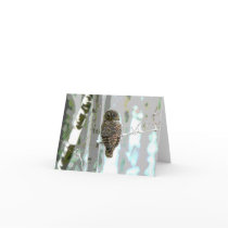 Owl In The Snow Cards