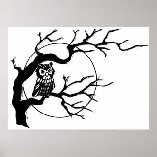 Black and white Owl in Tree Poster