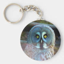 Owl Key Chain