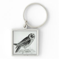 Owl Key Chains