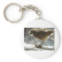 owl key chains