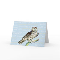 Owl Lover's Valentine's Day Card card