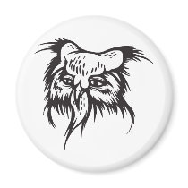 Owl magnets