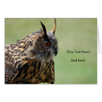 Owl "make it your own" Card
