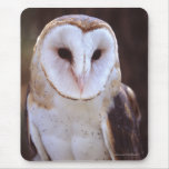 owl mouse pads