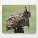 Owl Mousepad