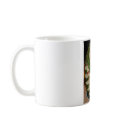 owl mugs