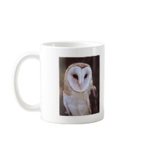 owl coffee mug