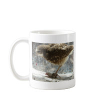 owl coffee mug