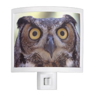 owl nite lights