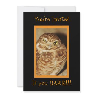 Owl of a Good Time Black Halloween Invitation invitation