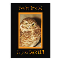 Owl of a Good Time Black Halloween Invitation