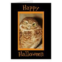 "Owl of a Good Time" Happy Halloween Card