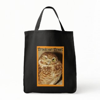Owl of a Good Time Trick or Treat Halloween Bag bag