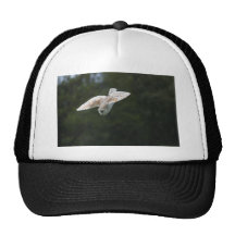 Owl on a mission hat