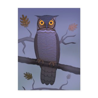 Owl on Branch postcard