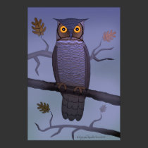 Owl on Branch Poster posters